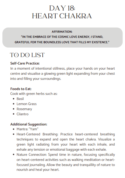 21 Day Reiki Cleanse Workbook - Image 4