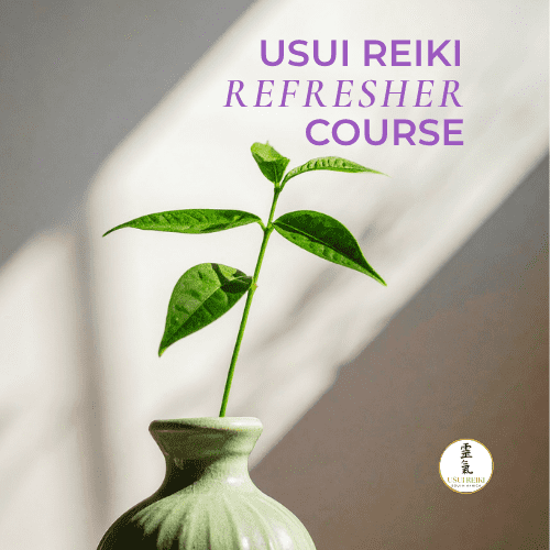A one day course to refresh your practical skills, remember the core tenants of the Usui Reiki system, and step back into your practice with absolute clarity and confidence.